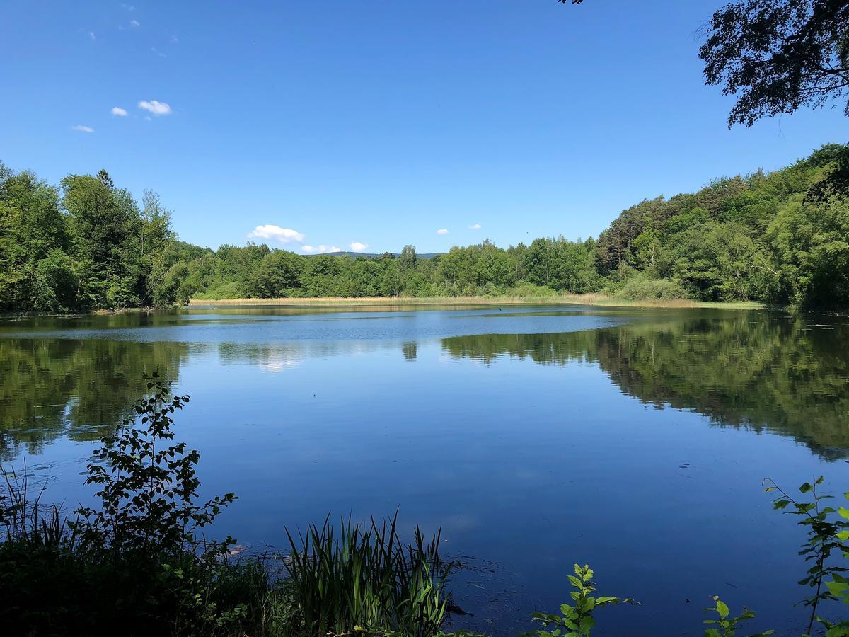 Ferienwohnung Will Walkenried Buitenkant foto